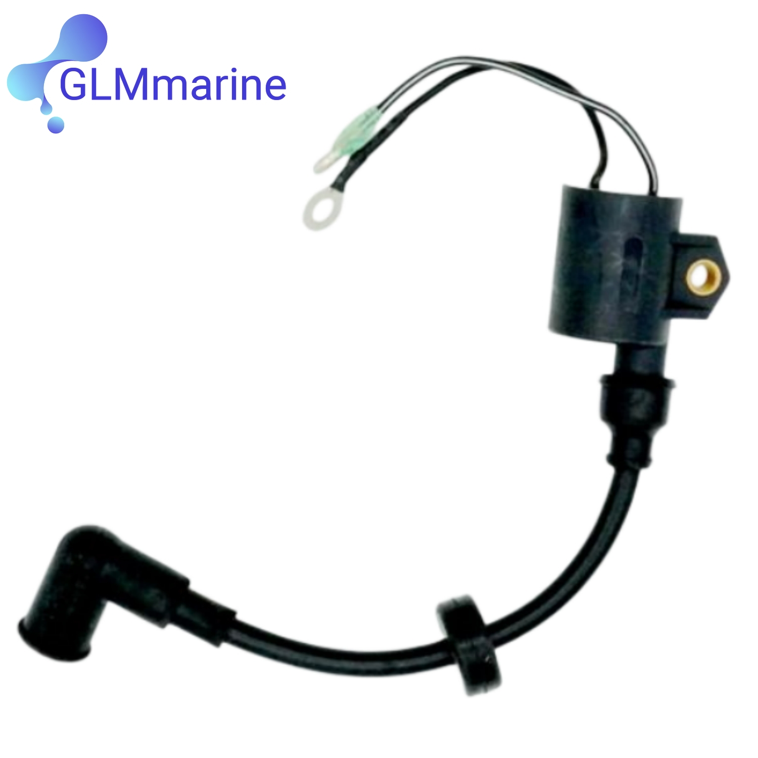 2 Pcs Ignition Coil Assy 61N-8 - Spark Plug 评论和价格
