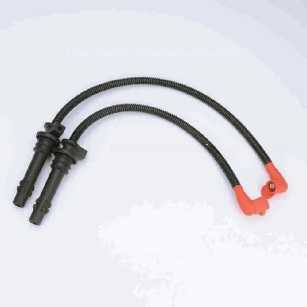 ZZ-Ignition Coil Spark Plug Ca - Spark Plug 评论和价格